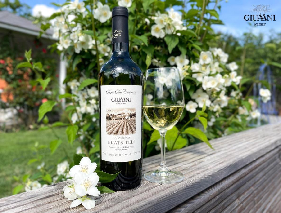 Giuaani Winery 호텔 Manavi 외부 사진