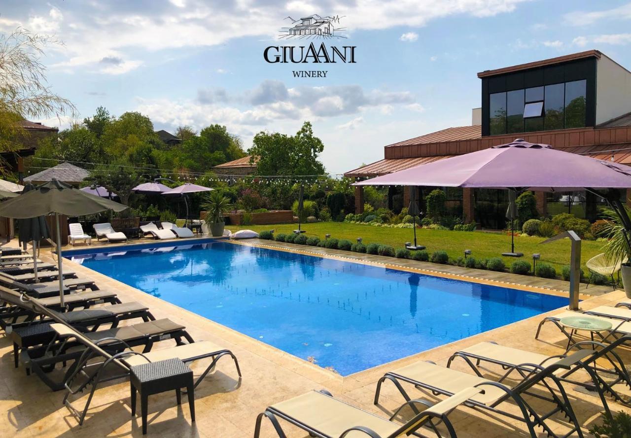 Giuaani Winery 호텔 Manavi 외부 사진
